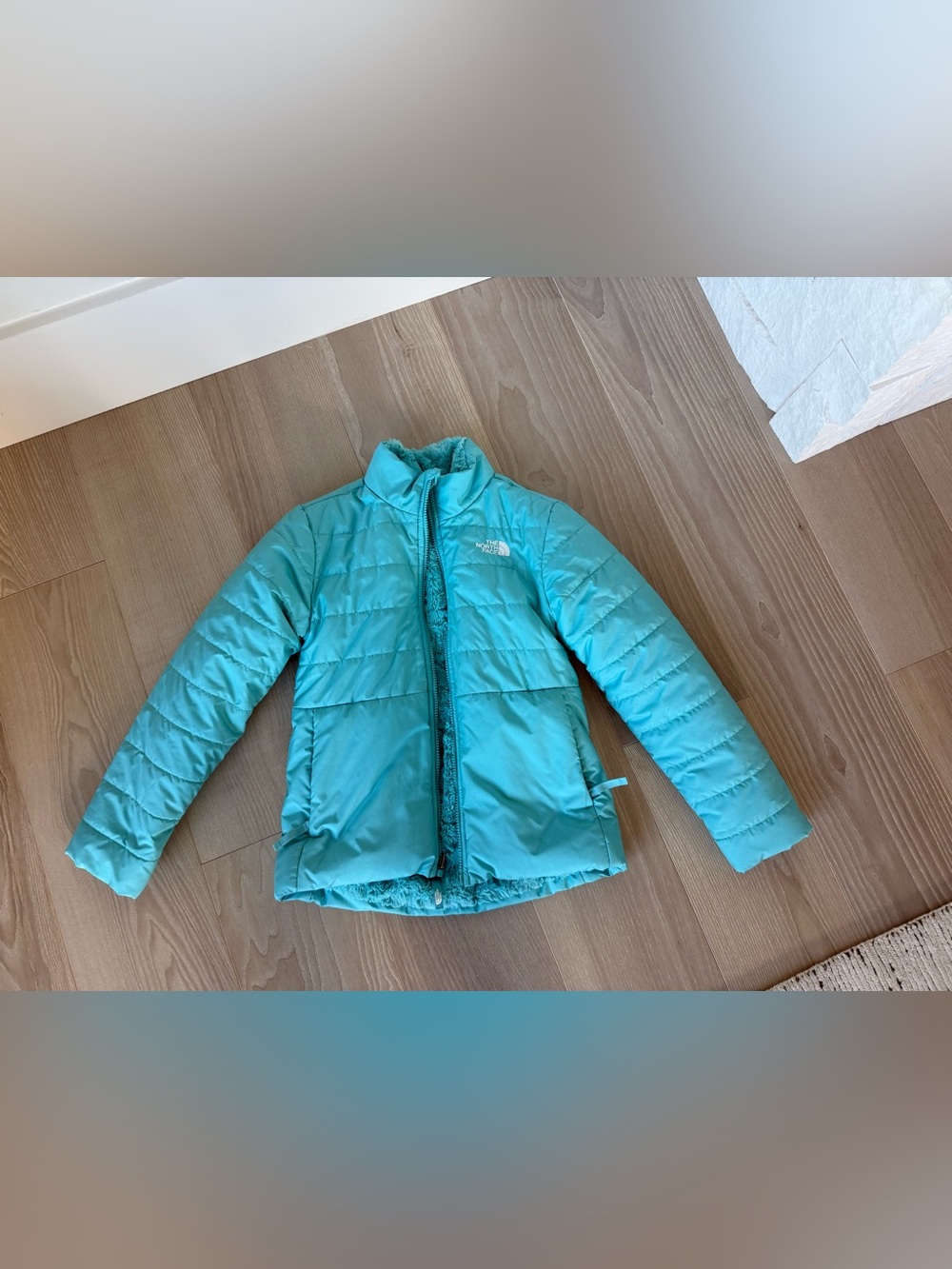 The North Face Girls' Aqua Teal Puffer Jacket